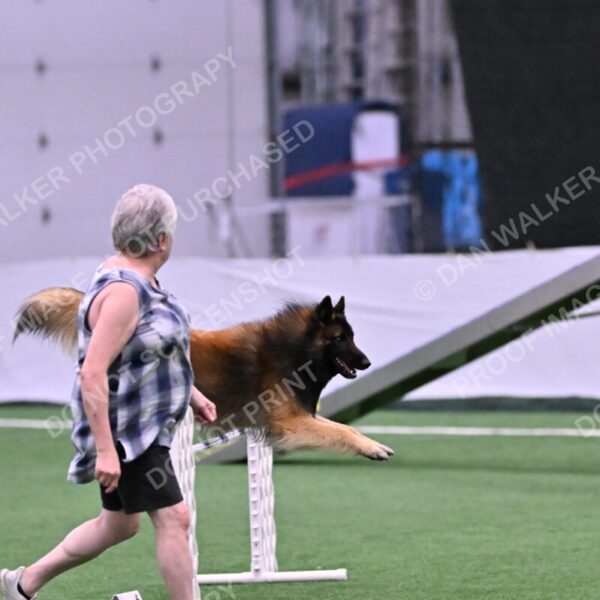 Tango-Sharon-Meek-09360