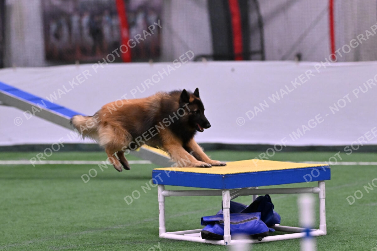 Tango-Sharon-Meek-09362