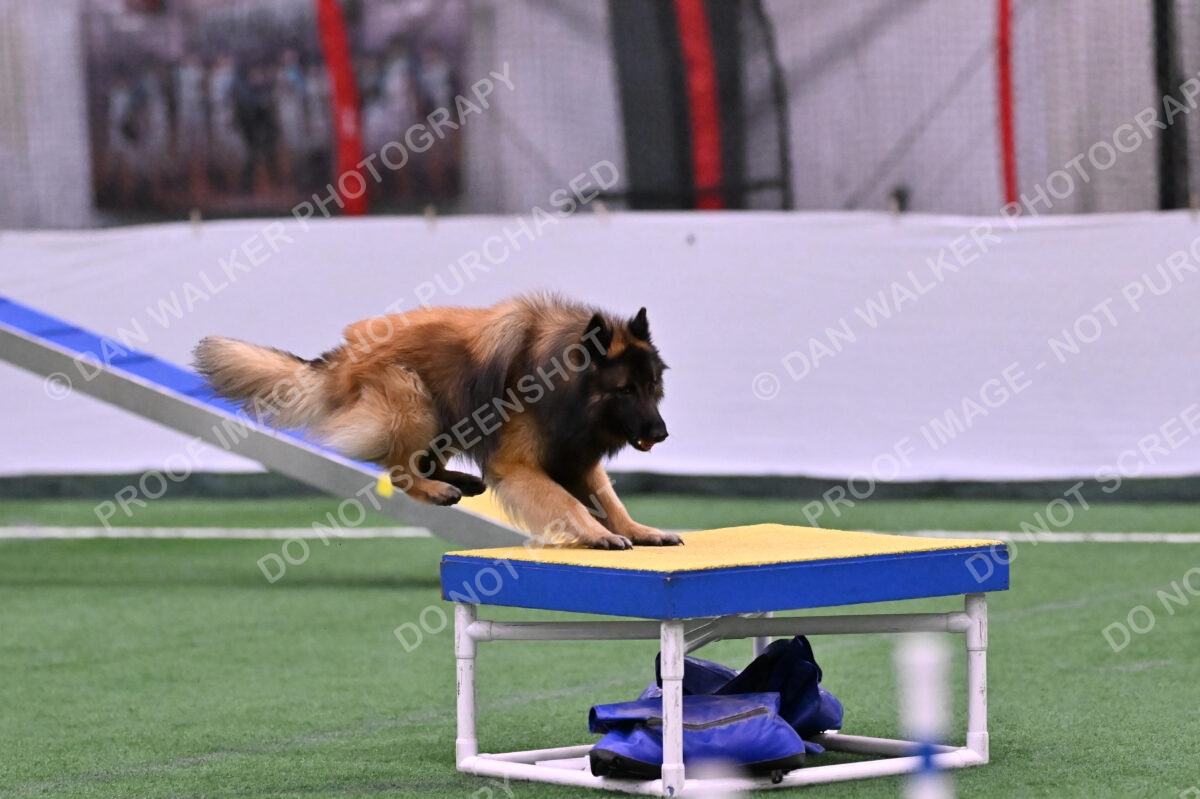 Tango-Sharon-Meek-09363