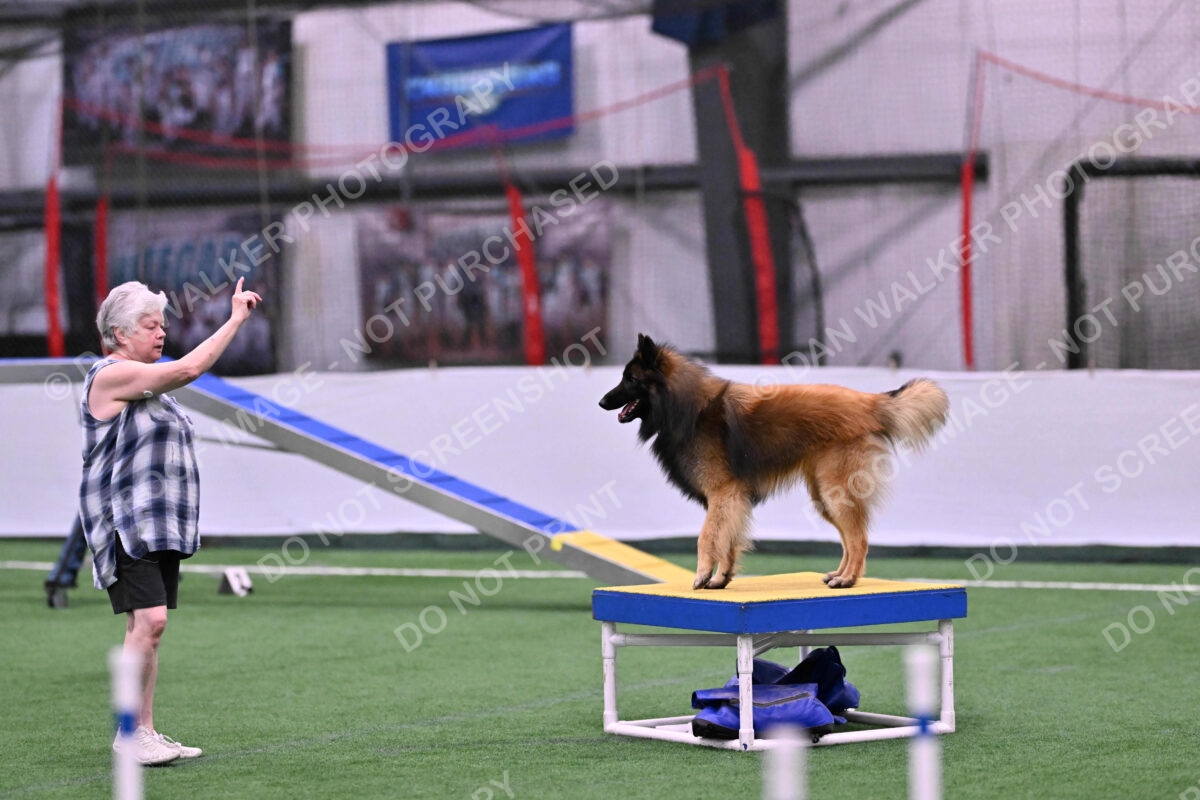 Tango-Sharon-Meek-09365