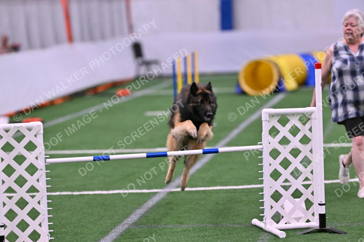 Tango-Sharon-Meek-09379