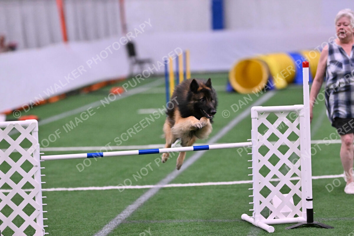 Tango-Sharon-Meek-09380