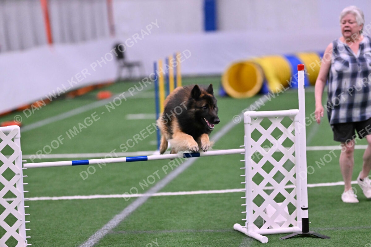 Tango-Sharon-Meek-09381