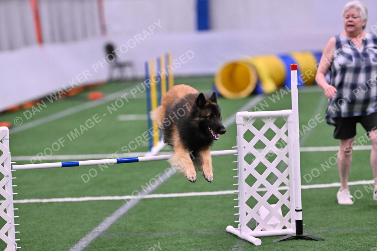 Tango-Sharon-Meek-09382