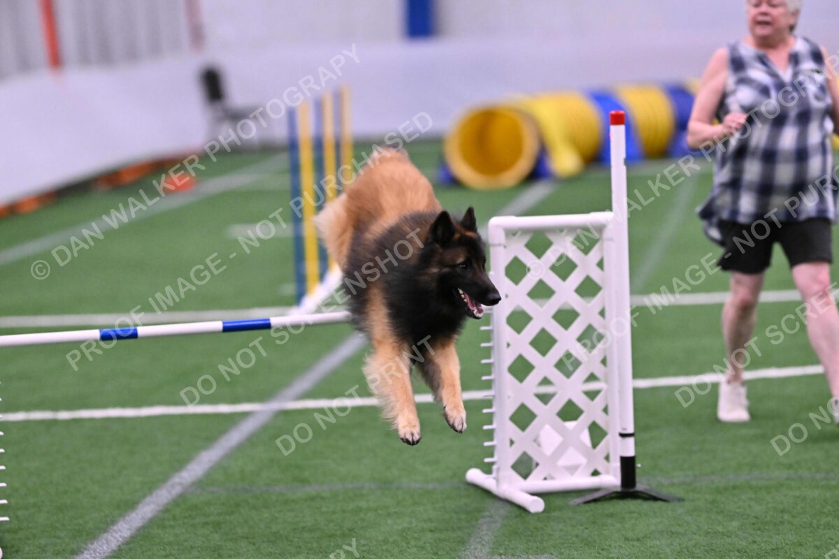 Tango-Sharon-Meek-09383