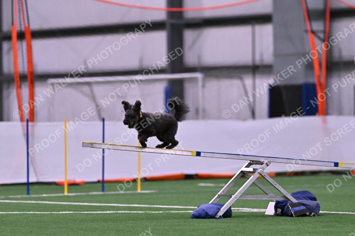 Urak-Kay-Rackley-10094