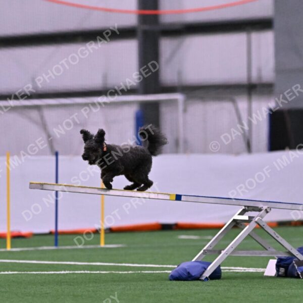 Urak-Kay-Rackley-10094