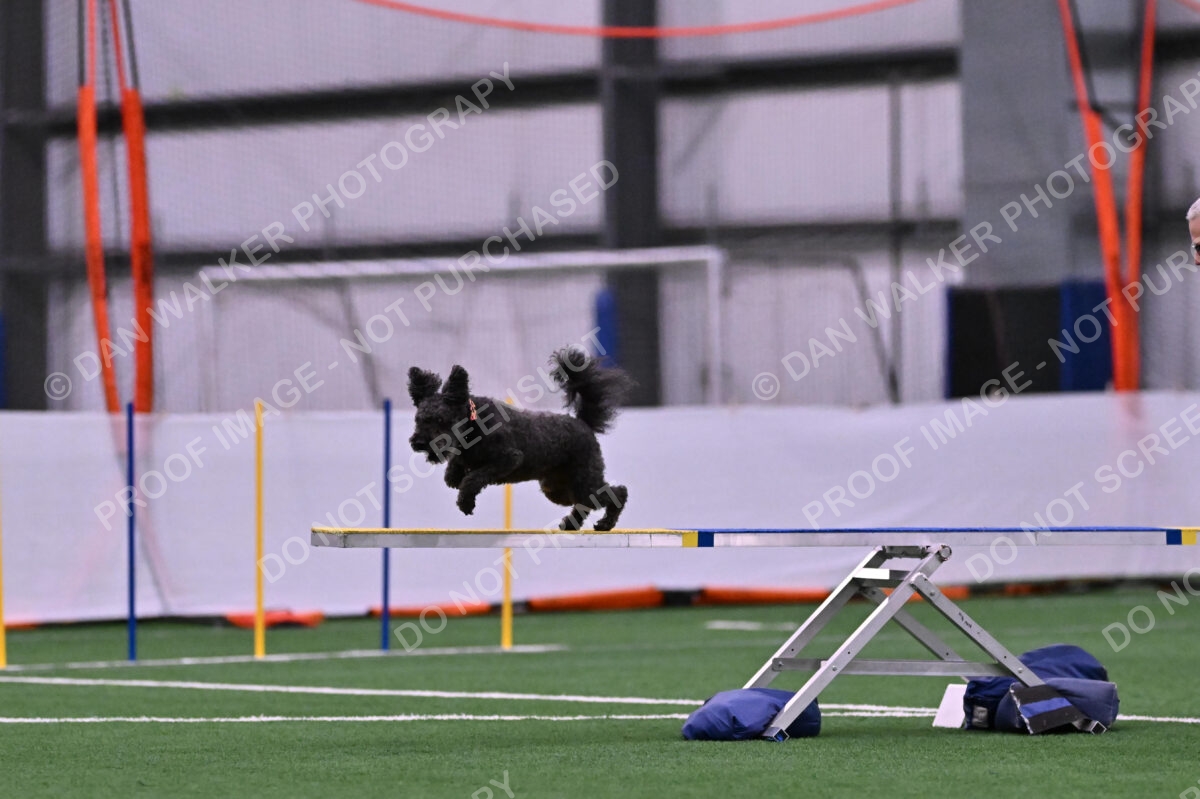 Urak-Kay-Rackley-10095