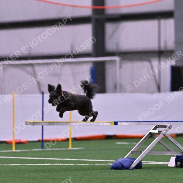 Urak-Kay-Rackley-10095