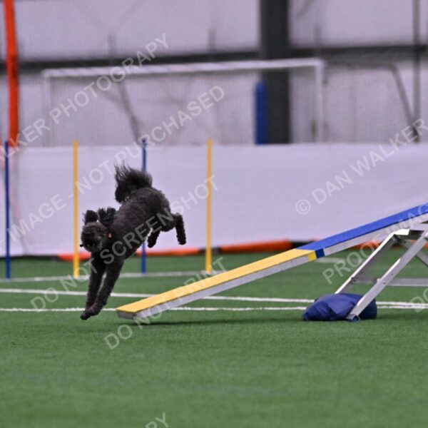 Urak-Kay-Rackley-10096