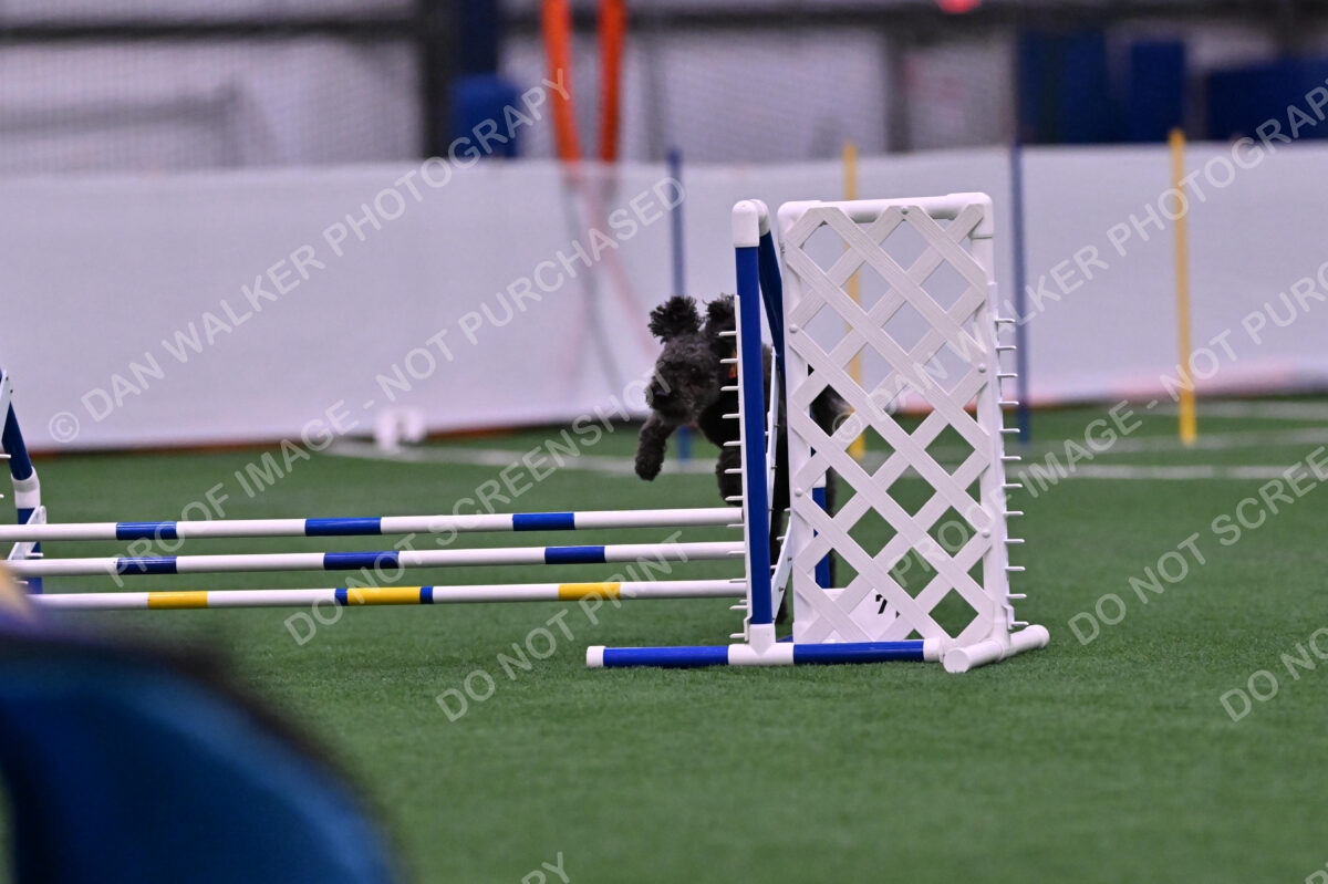 Urak-Kay-Rackley-10099