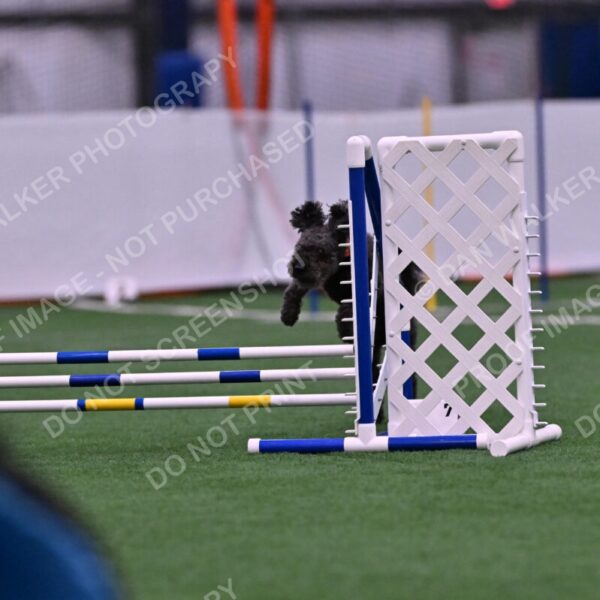 Urak-Kay-Rackley-10099