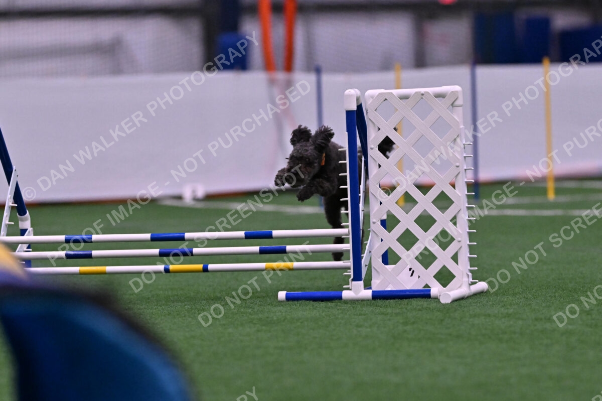 Urak-Kay-Rackley-10100