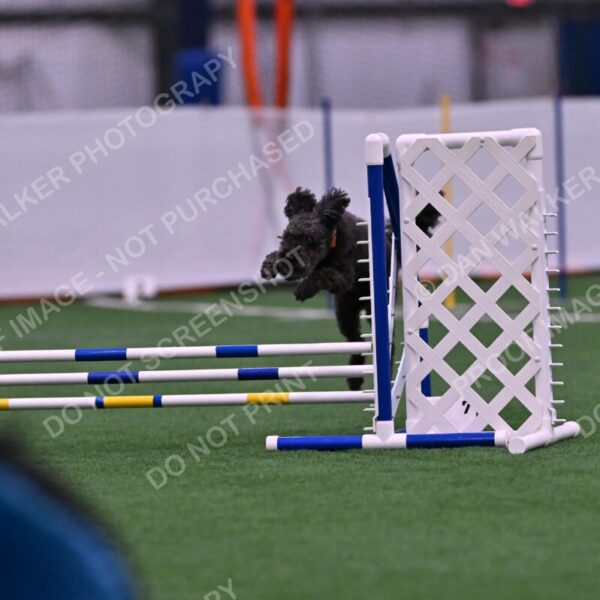 Urak-Kay-Rackley-10100