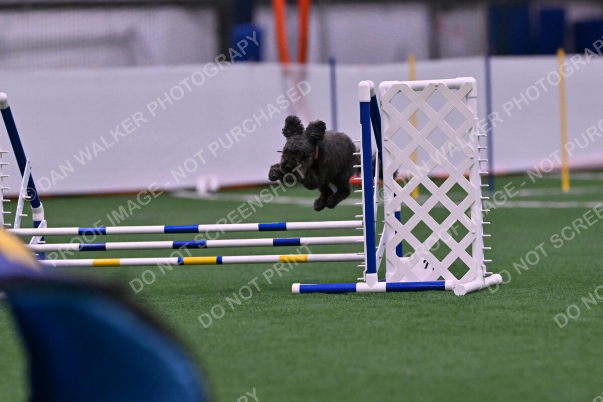 Urak-Kay-Rackley-10101