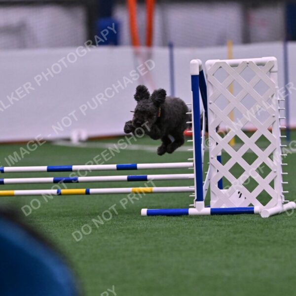 Urak-Kay-Rackley-10101