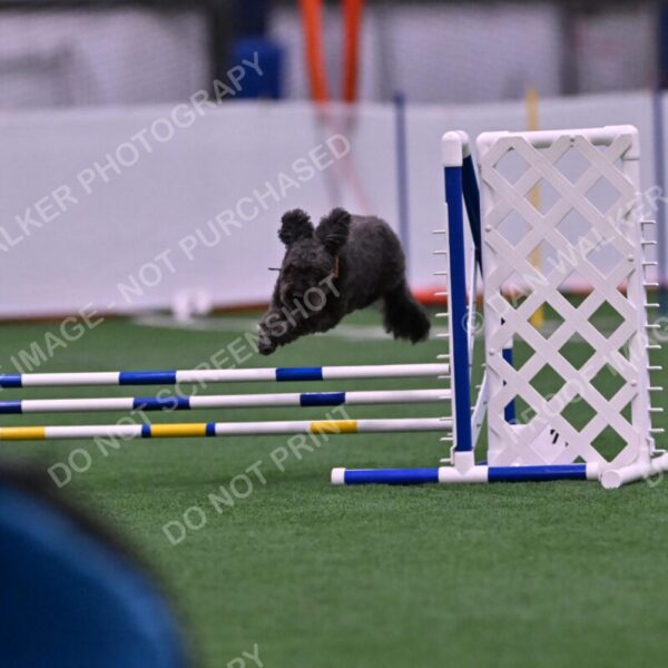 Urak-Kay-Rackley-10102