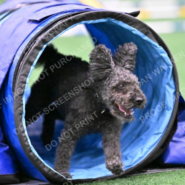 Urak-Kay-Rackley-10107