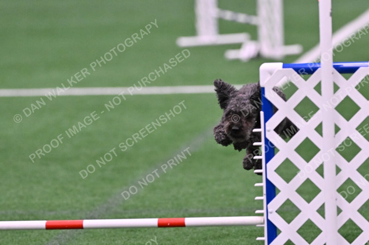 Urak-Kay-Rackley-10110