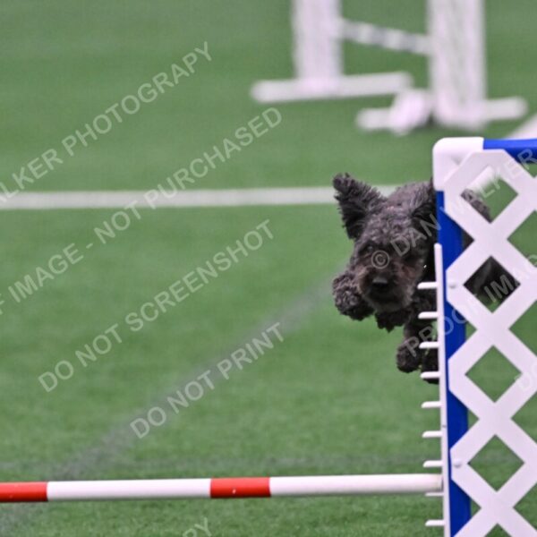 Urak-Kay-Rackley-10110