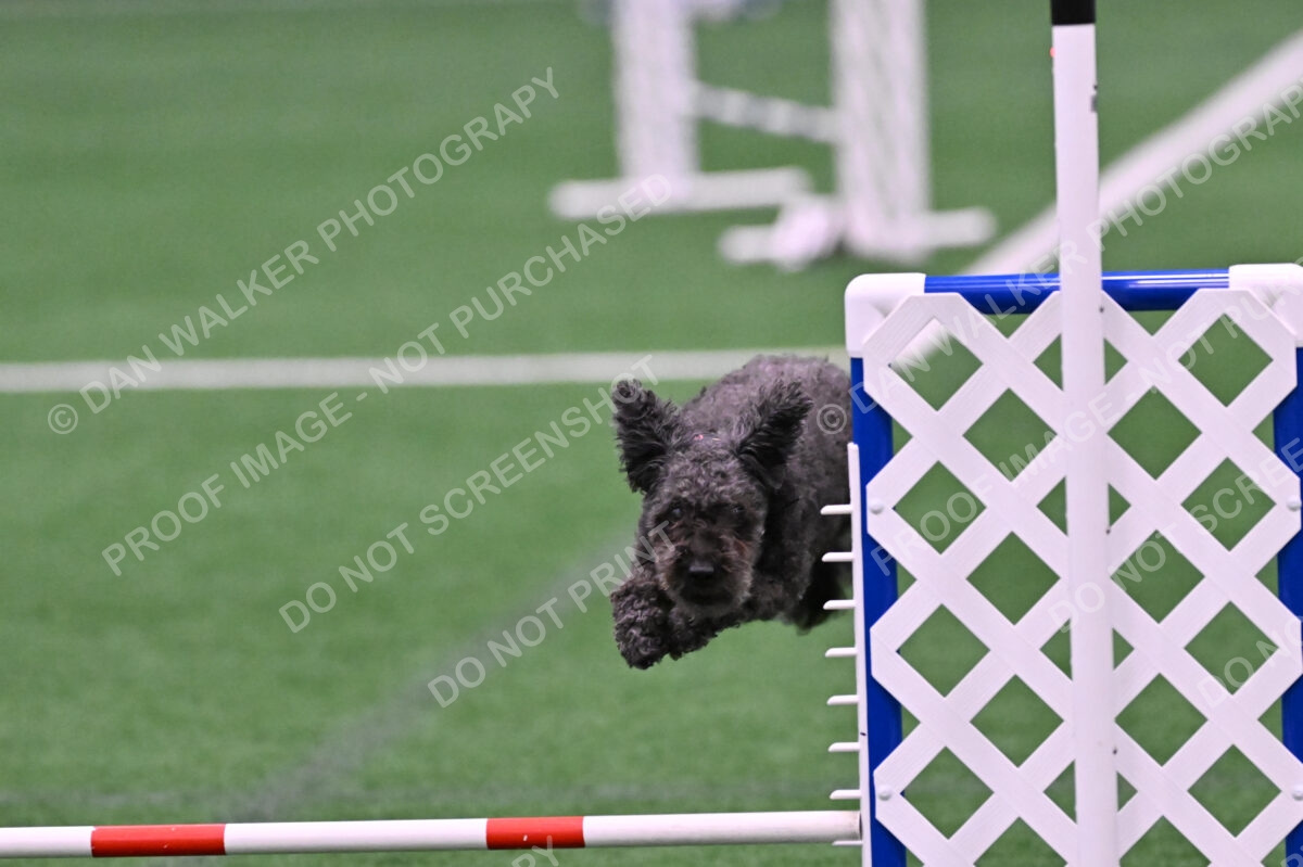 Urak-Kay-Rackley-10111