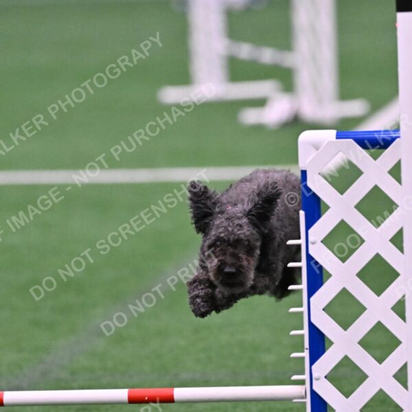 Urak-Kay-Rackley-10111