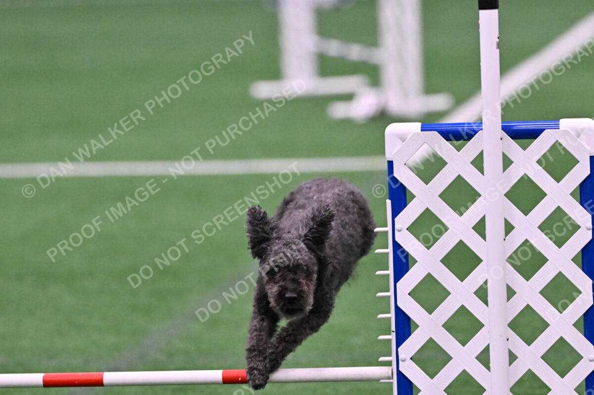 Urak-Kay-Rackley-10112