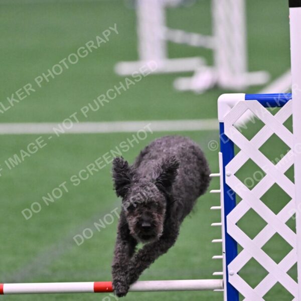 Urak-Kay-Rackley-10112