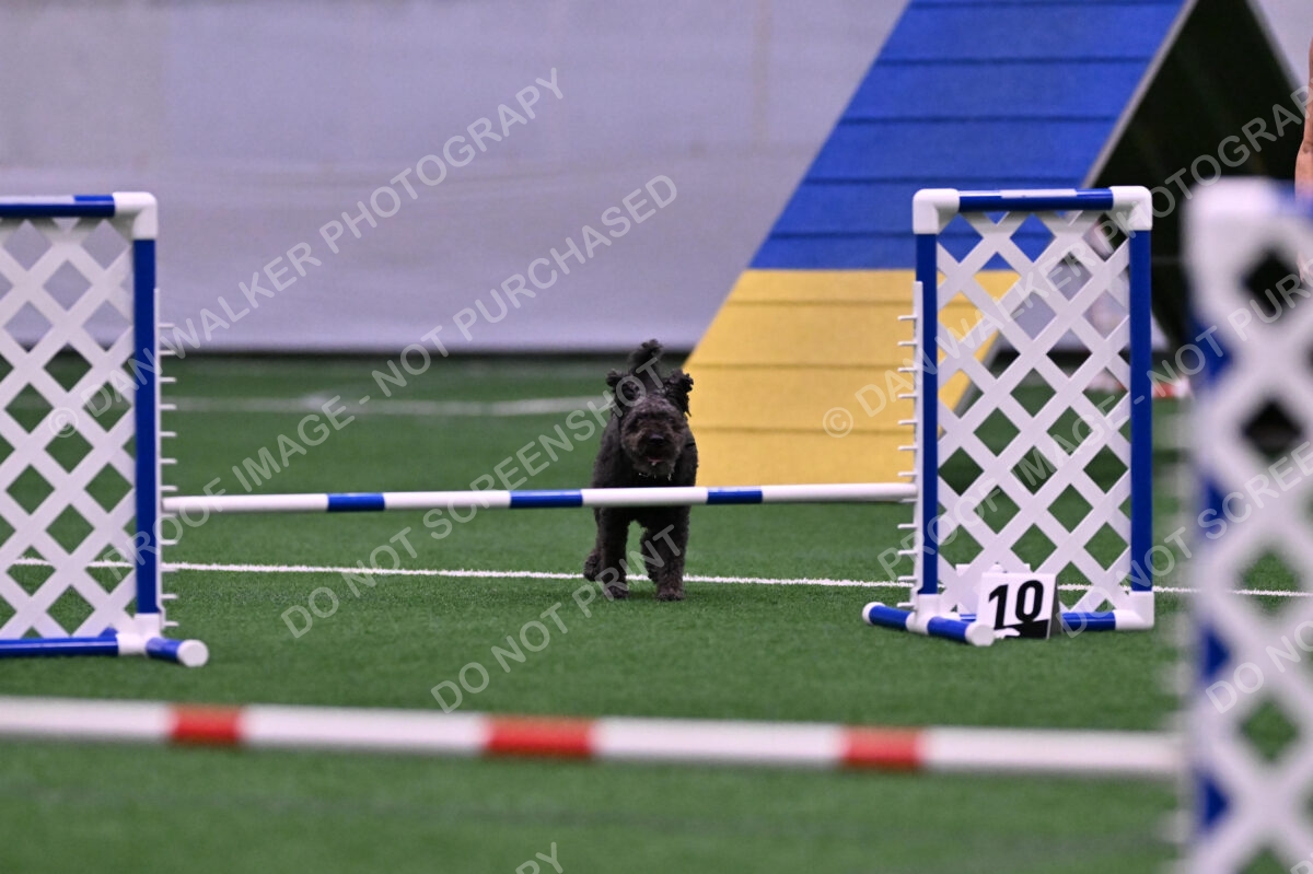 Urak-Kay-Rackley-10115