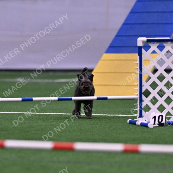 Urak-Kay-Rackley-10115