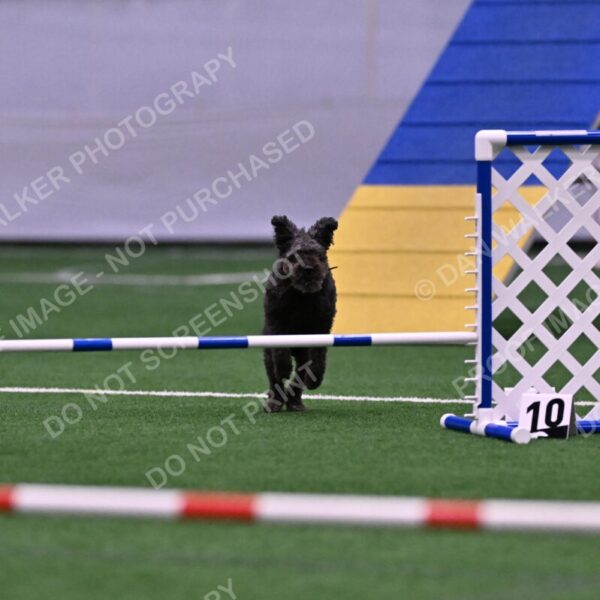 Urak-Kay-Rackley-10116