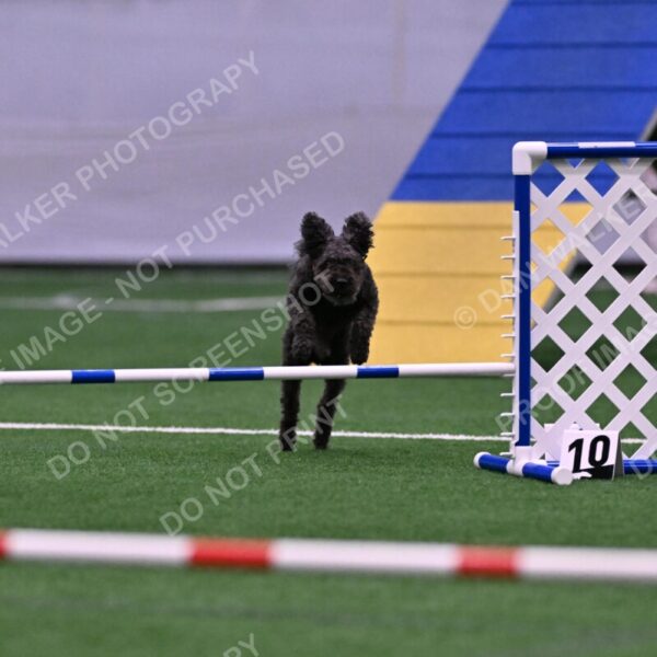 Urak-Kay-Rackley-10117