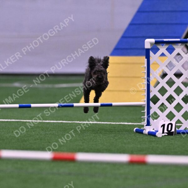 Urak-Kay-Rackley-10118