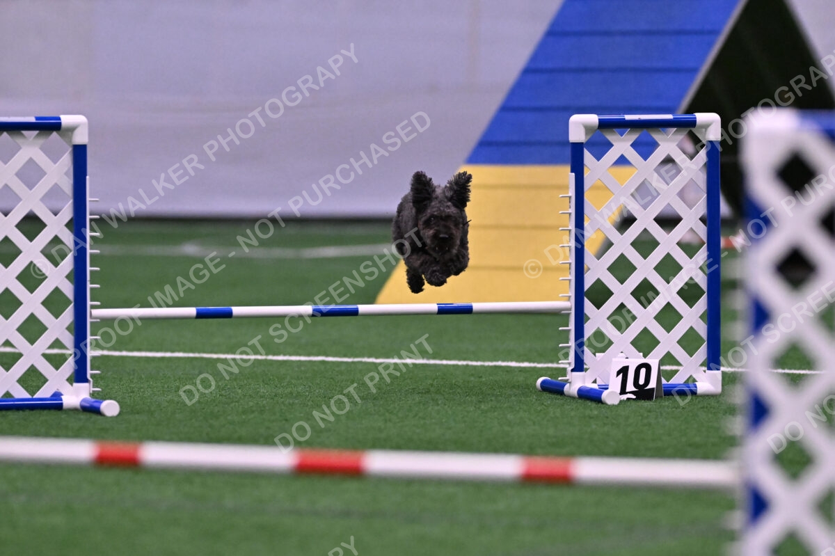 Urak-Kay-Rackley-10119