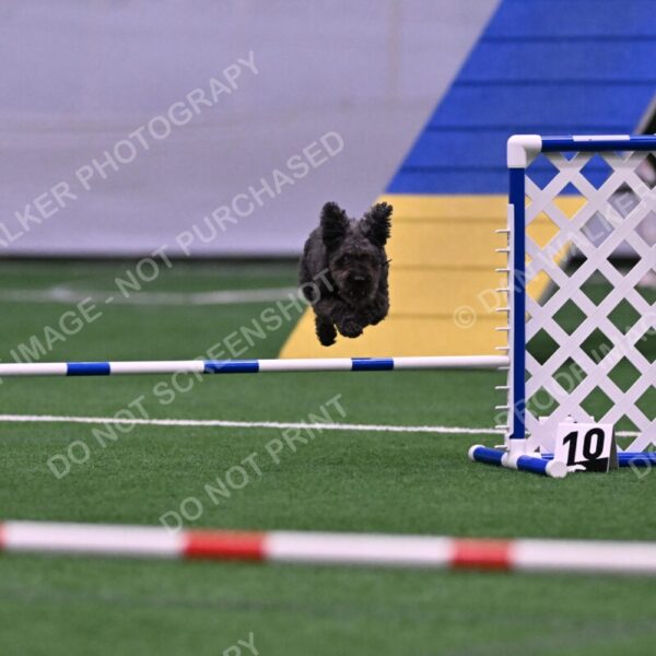 Urak-Kay-Rackley-10119