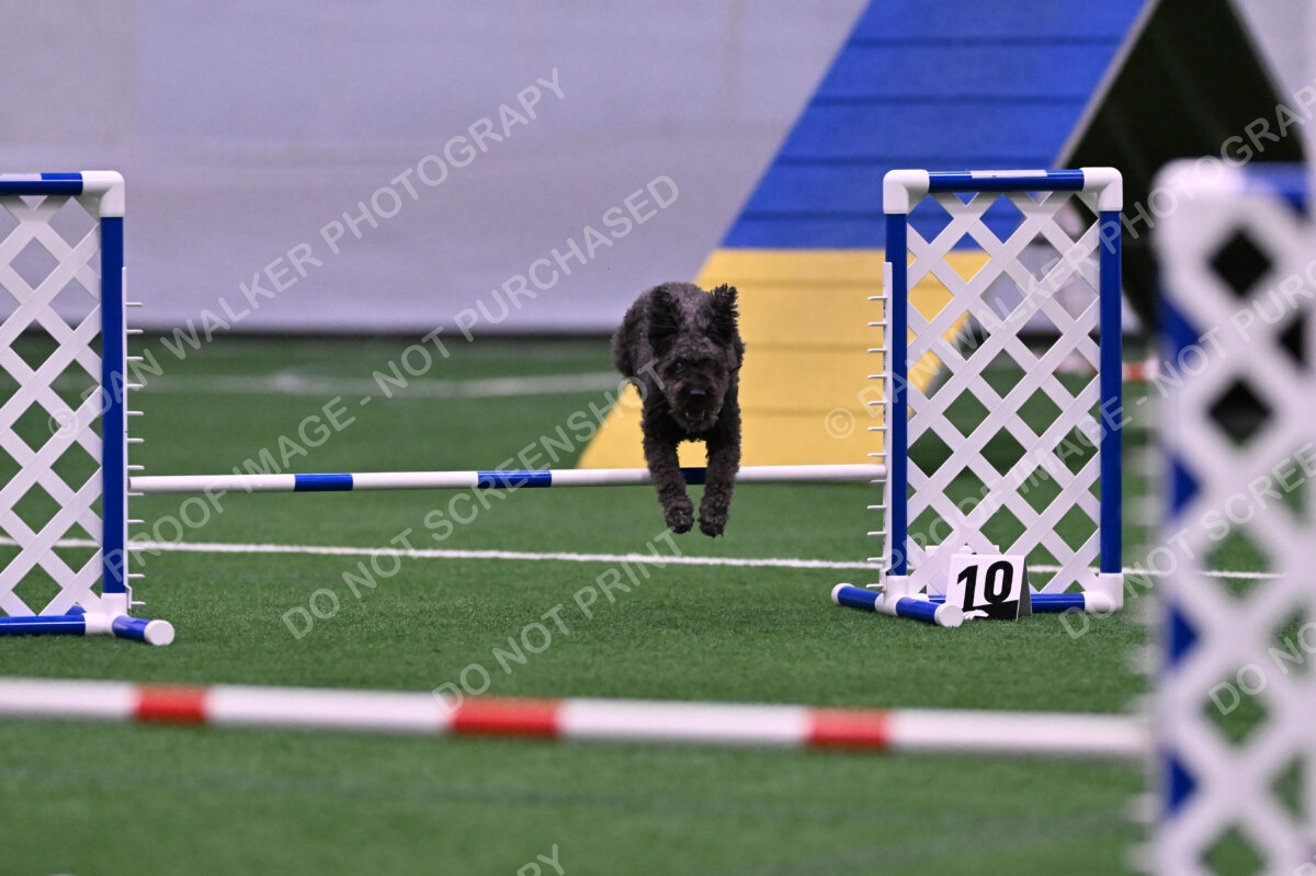 Urak-Kay-Rackley-10120