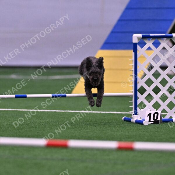 Urak-Kay-Rackley-10120