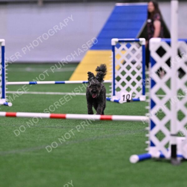 Urak-Kay-Rackley-10121