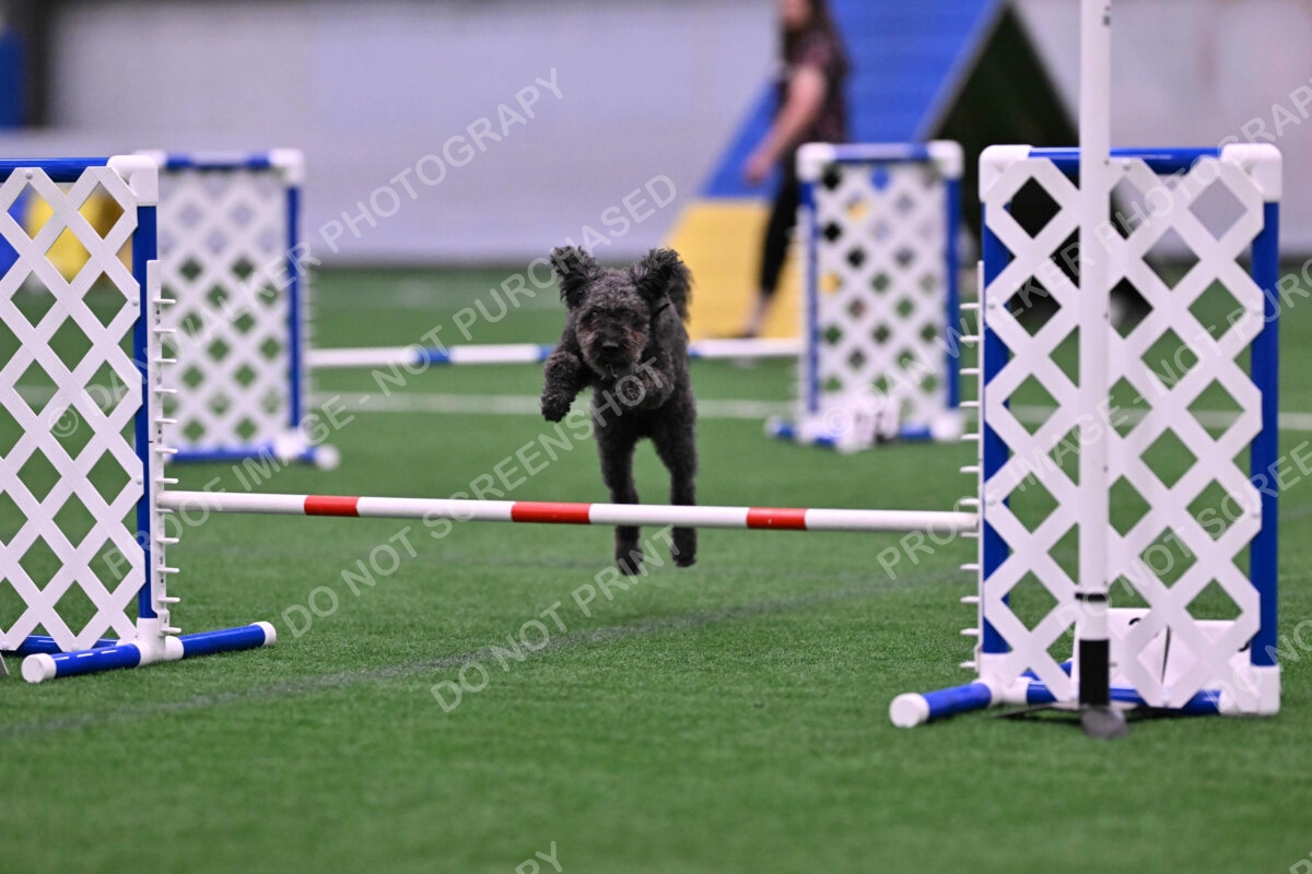 Urak-Kay-Rackley-10125