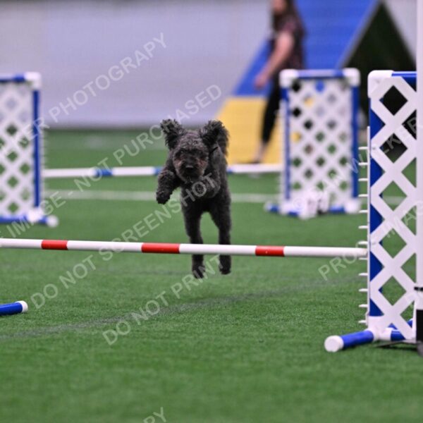 Urak-Kay-Rackley-10125