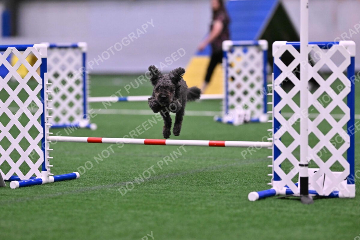 Urak-Kay-Rackley-10126