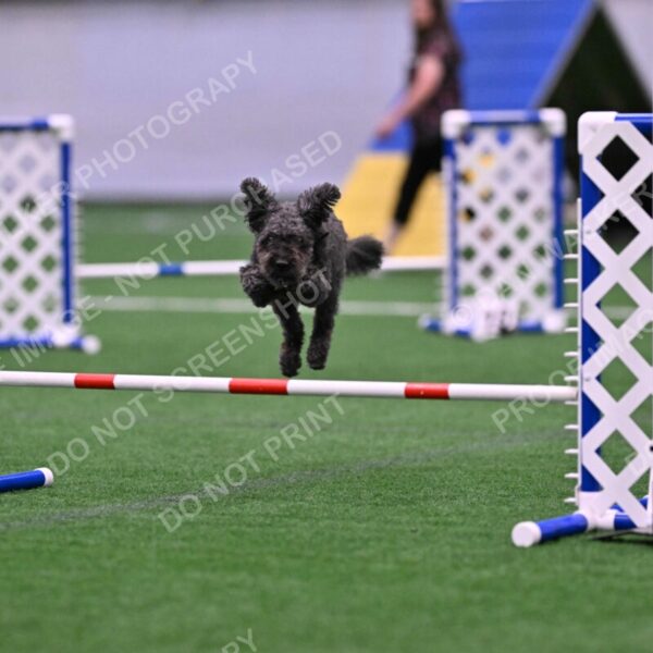 Urak-Kay-Rackley-10126