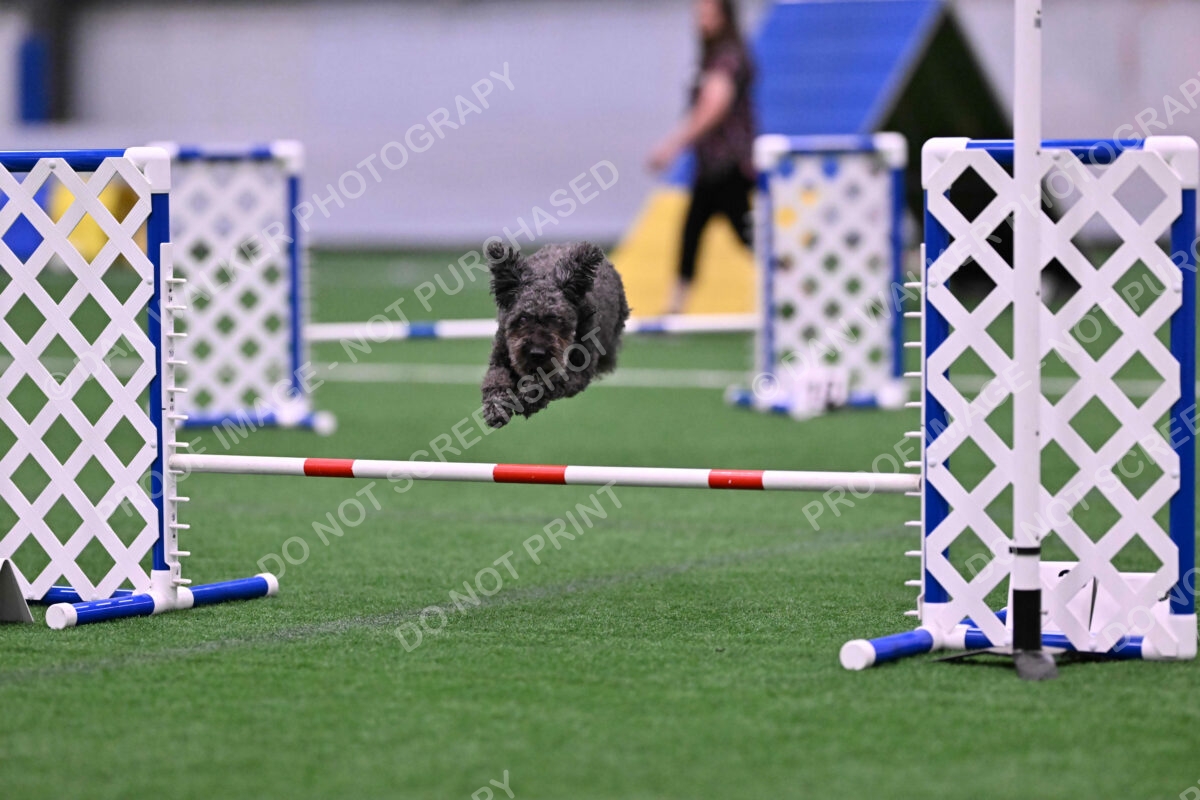 Urak-Kay-Rackley-10127