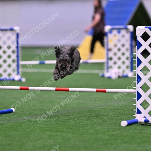 Urak-Kay-Rackley-10127