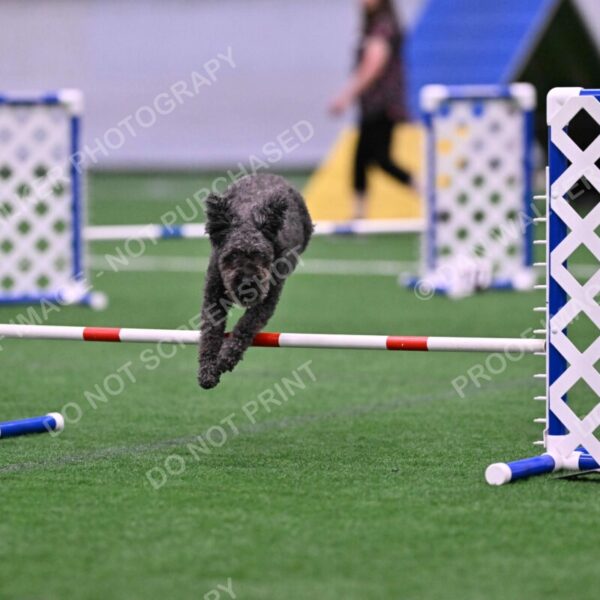 Urak-Kay-Rackley-10128