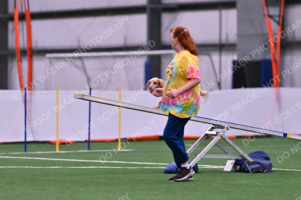 Wendy-Julie-Ashley-00748