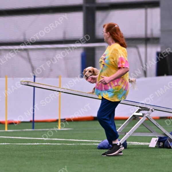 Wendy-Julie-Ashley-00748