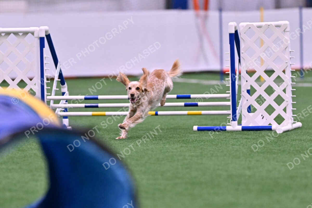 Wendy-Julie-Ashley-00756