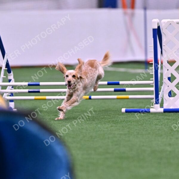 Wendy-Julie-Ashley-00756