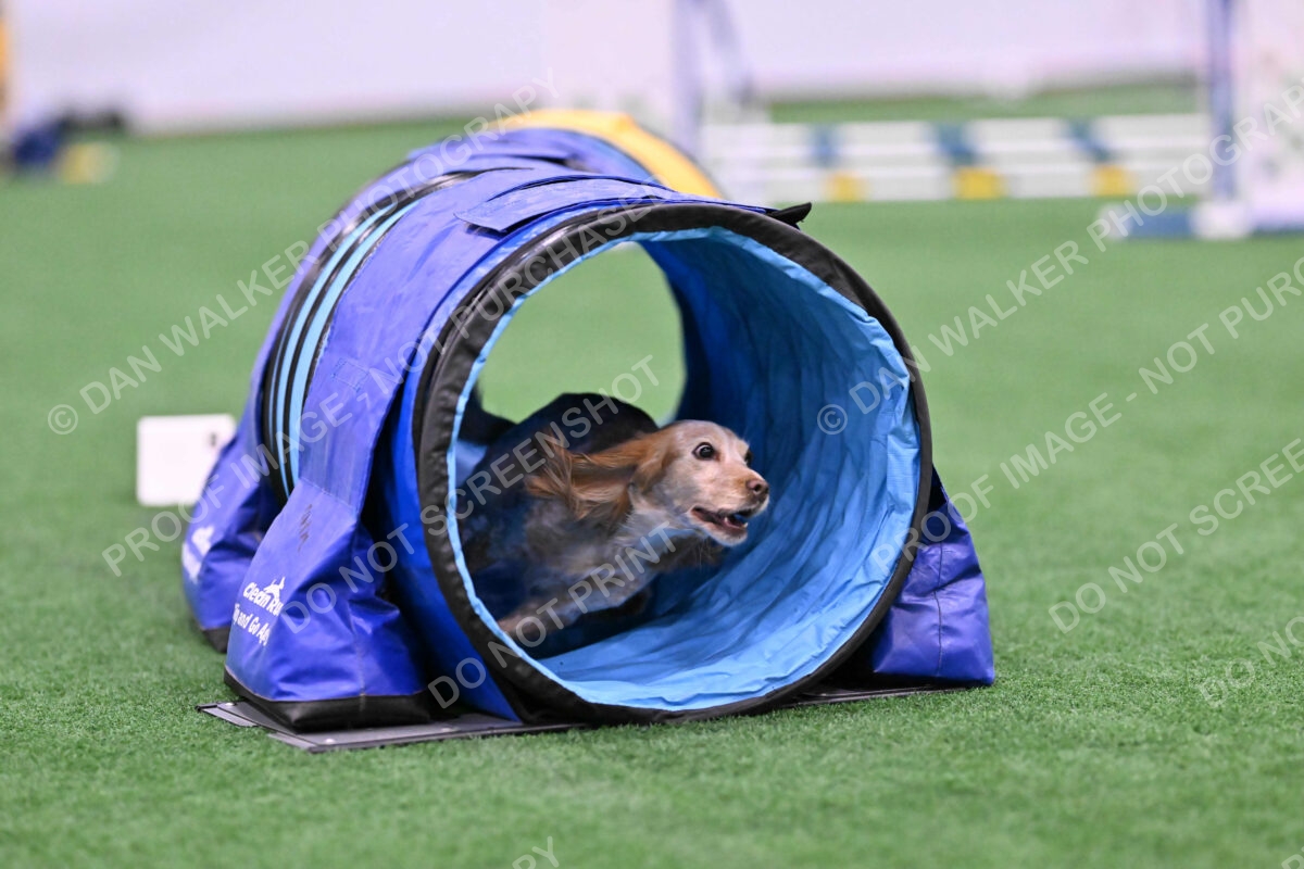 Wendy-Julie-Ashley-00761